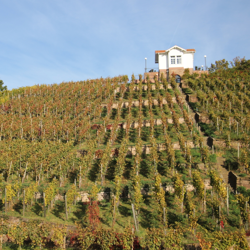 IHK Weinberghäuschen